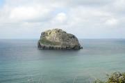 Paraiso de aves
